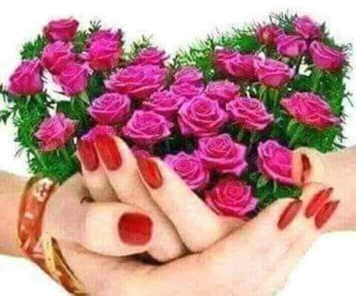 78506059_2891584010874590_2949824573010345984_n