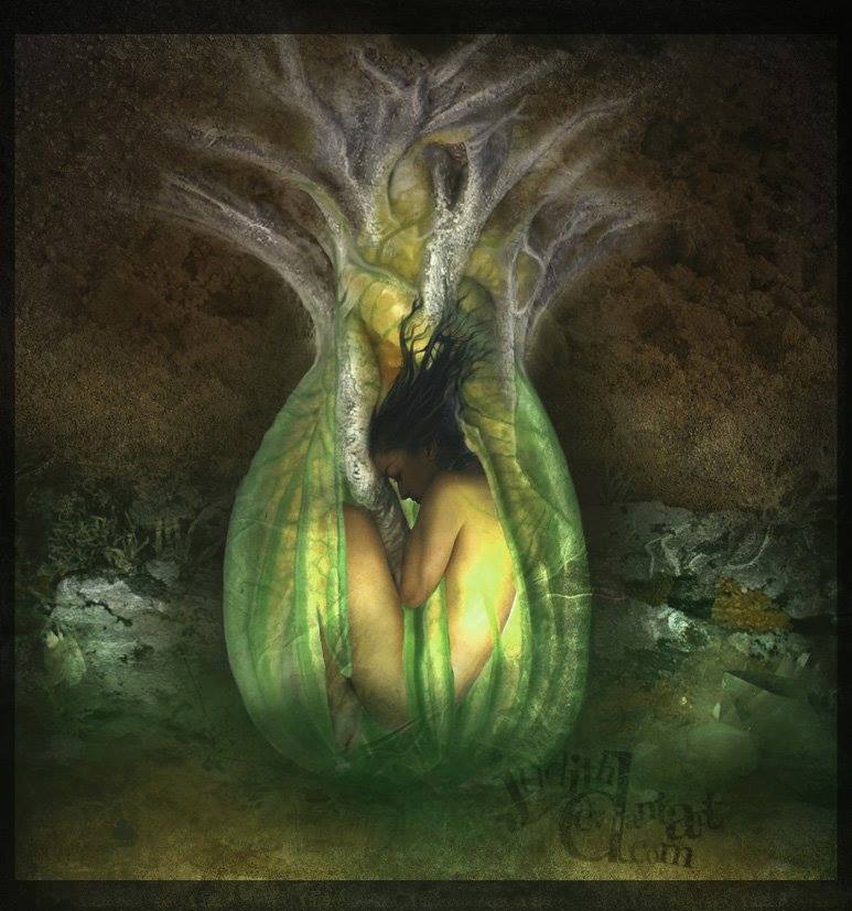 10672357_783954614994858_664399014775730233_n