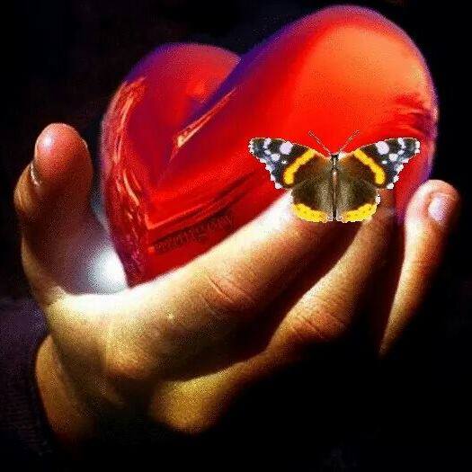 71273387_2744941705538822_7099768793567592448_n