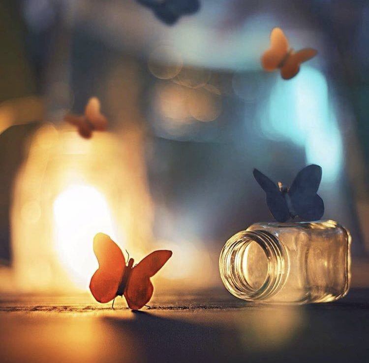 71384550_2743554482344211_2309091091116195840_n