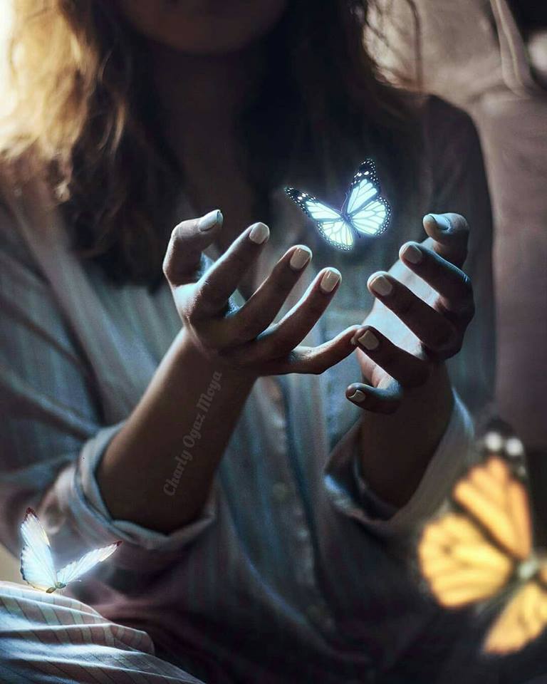 71498424_2744728968893429_662532304937156608_n