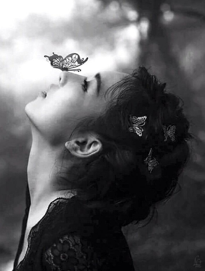 71560616_2743554599010866_490730267317633024_n