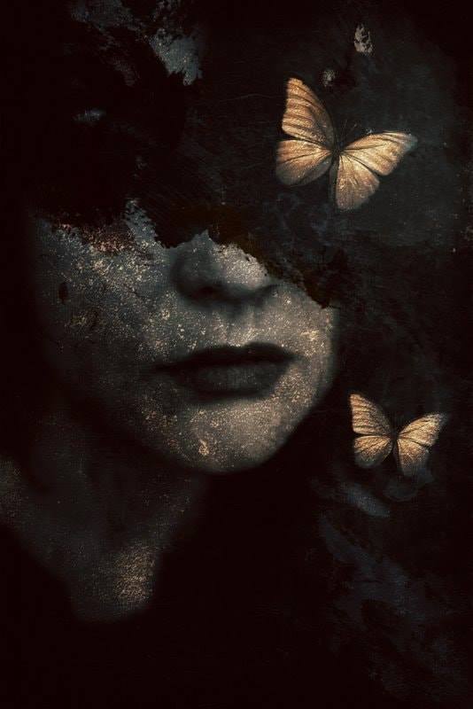 71591200_2744728258893500_6606465248134168576_n