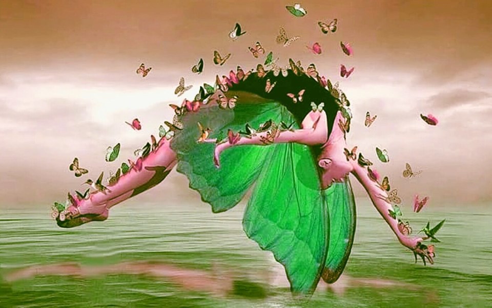 71658233_2743554282344231_5224156042828447744_n