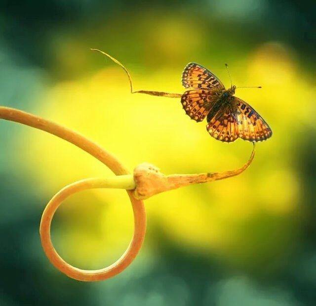 71691931_2743554105677582_627444724231307264_n