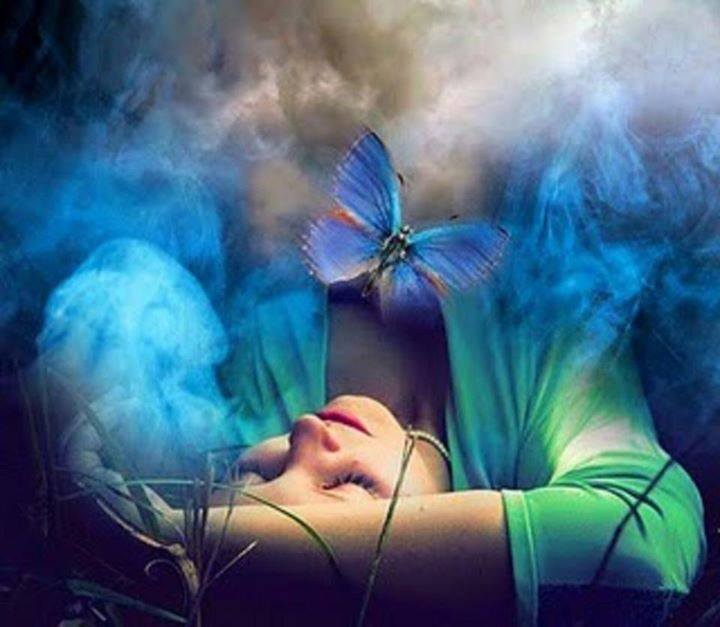 71698874_2744941655538827_5510726877976723456_n