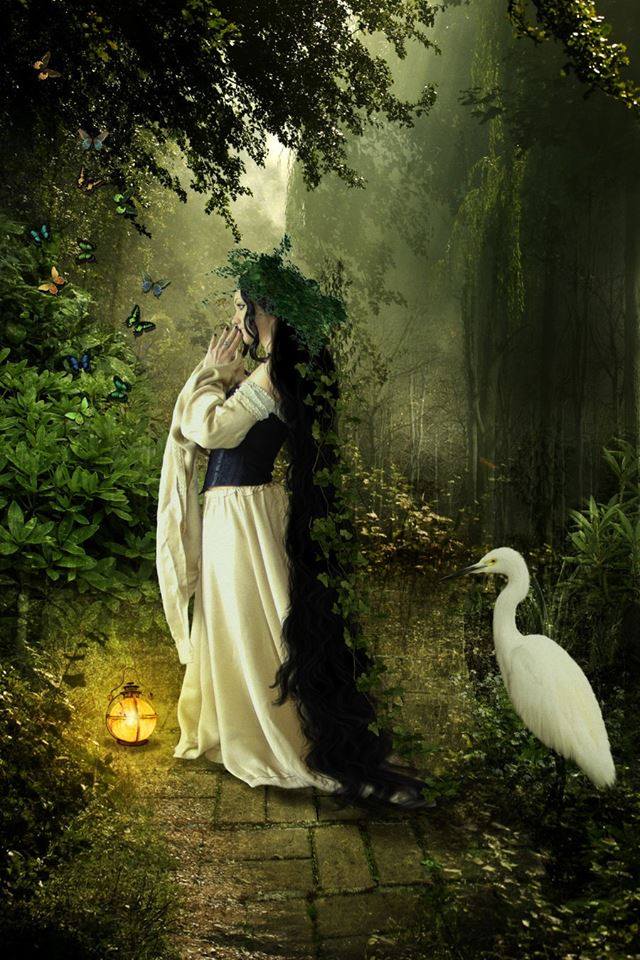 71748195_2744728908893435_4788373791799508992_n