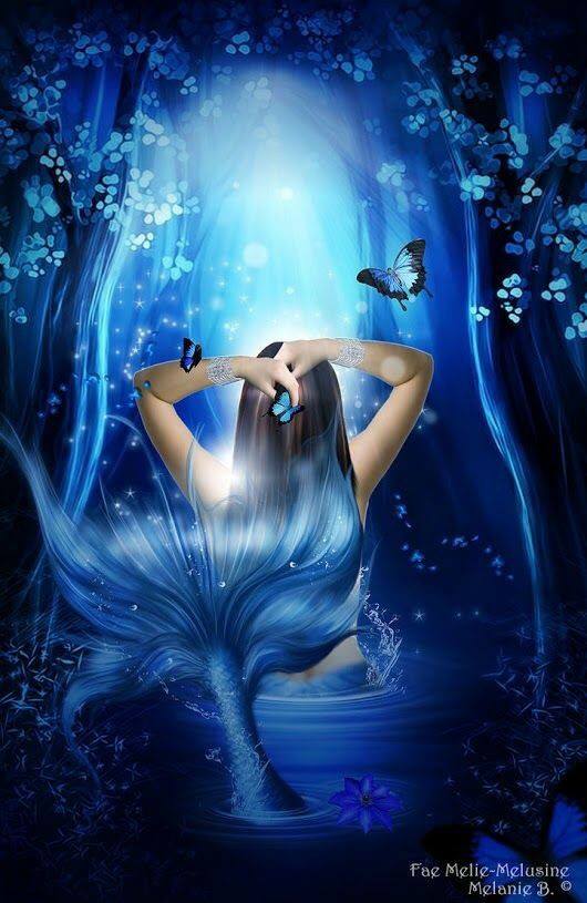 71803551_2744728345560158_5270257581833584640_n