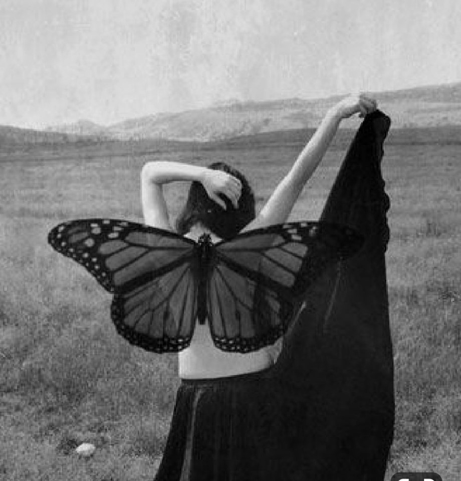 71870396_2743556402344019_268510746776698880_n