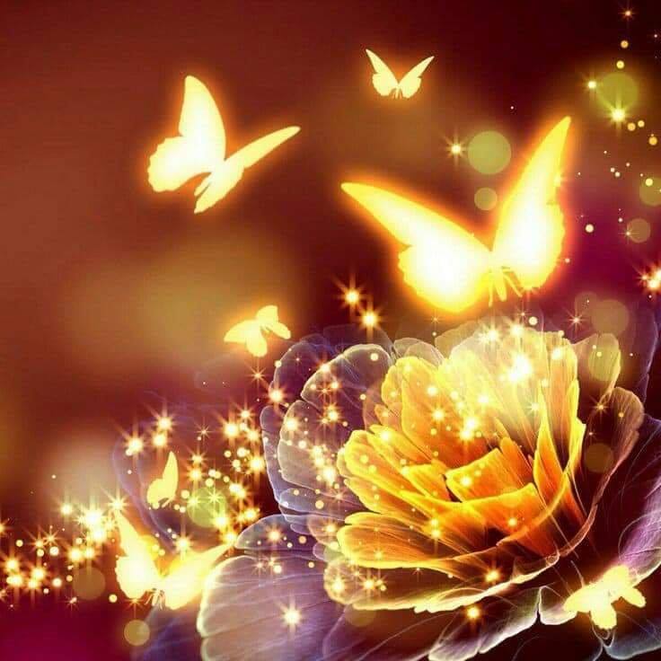 72074380_2743554419010884_2240783110901858304_n