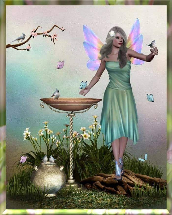 72174632_2743553595677633_6507031017155461120_n