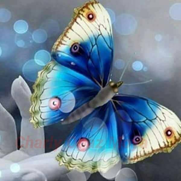 72523726_2744726445560348_6993398181815910400_n