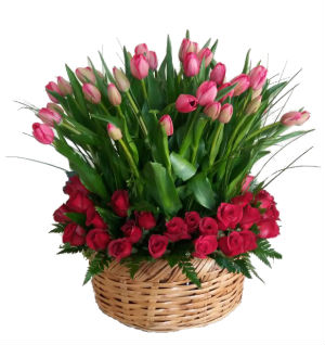 Arreglo-Floral-con-50-Tulipanes-y-mini-rosa-en-Canasta