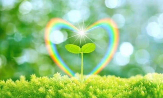 vibra-alto_1_2396277-653x393