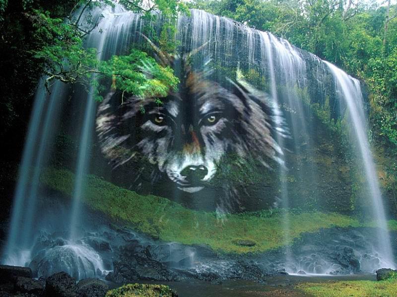 563028_481184278605228_1551855784_n