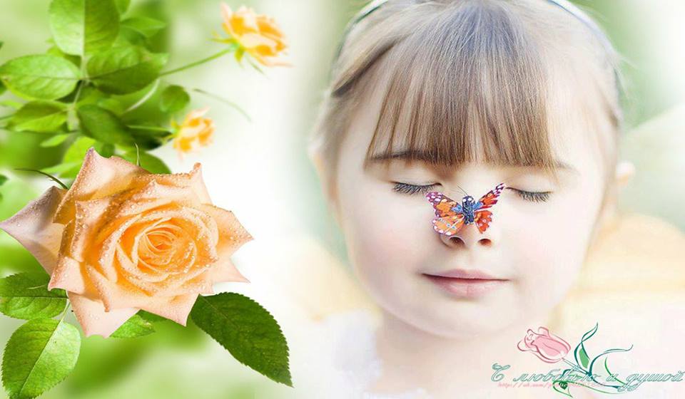 71498989_2744942218872104_909989667489710080_n