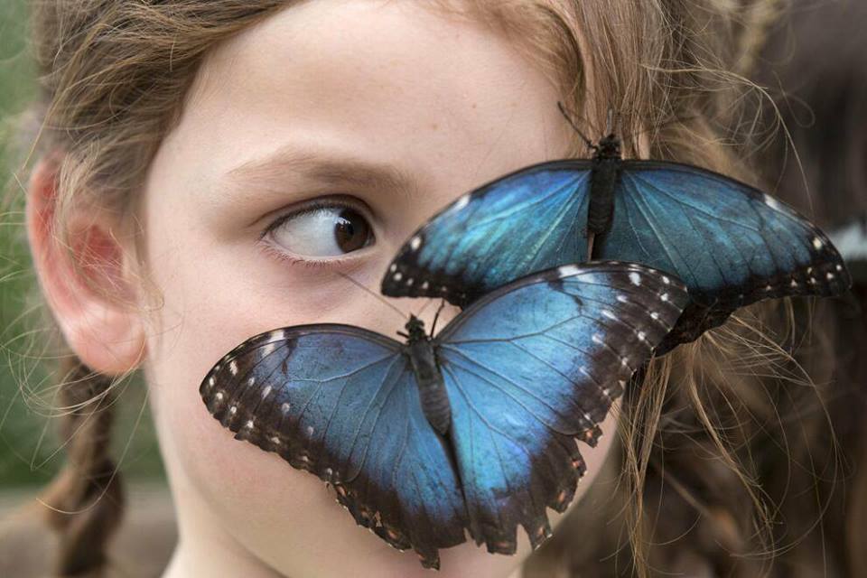 71567025_2744942515538741_2804472438648209408_n