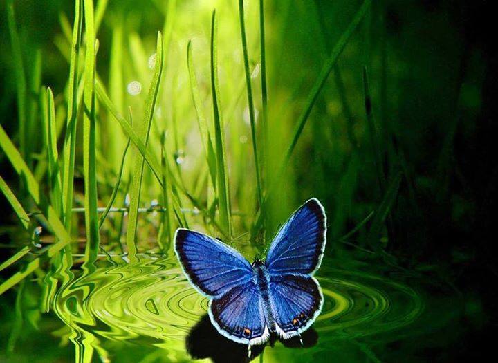 71740487_2744941868872139_7049631299564208128_n