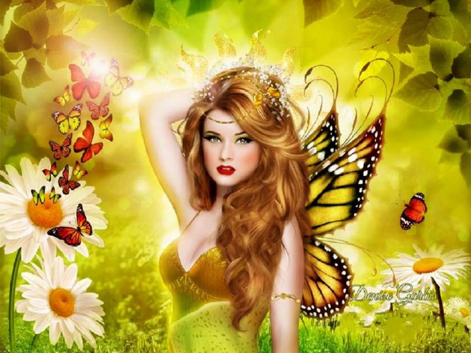 71856480_2744942965538696_1881956013708410880_n