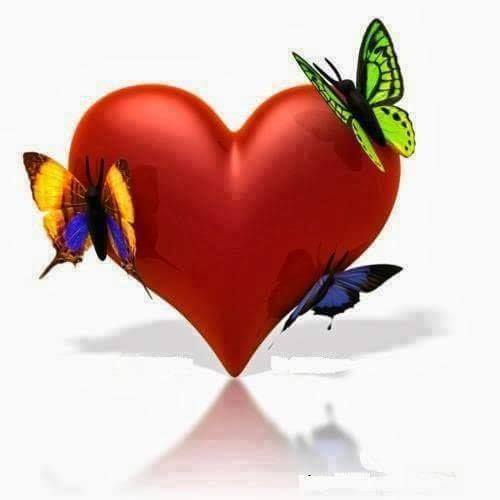 71902699_2744727295560263_2344511540377419776_n