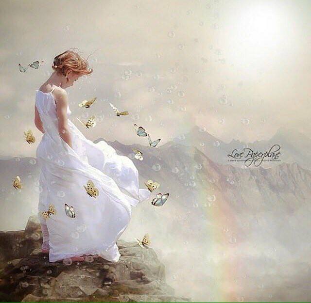 72095651_2744943242205335_7249112550275547136_n