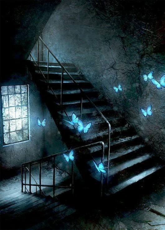 72189951_2744943382205321_3074624189349494784_n