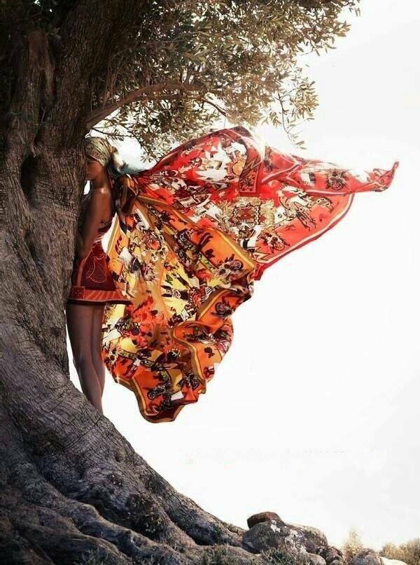 72196569_2744943515538641_7137890098653167616_n