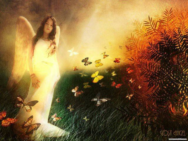 72211609_2744942752205384_6150514324604452864_n