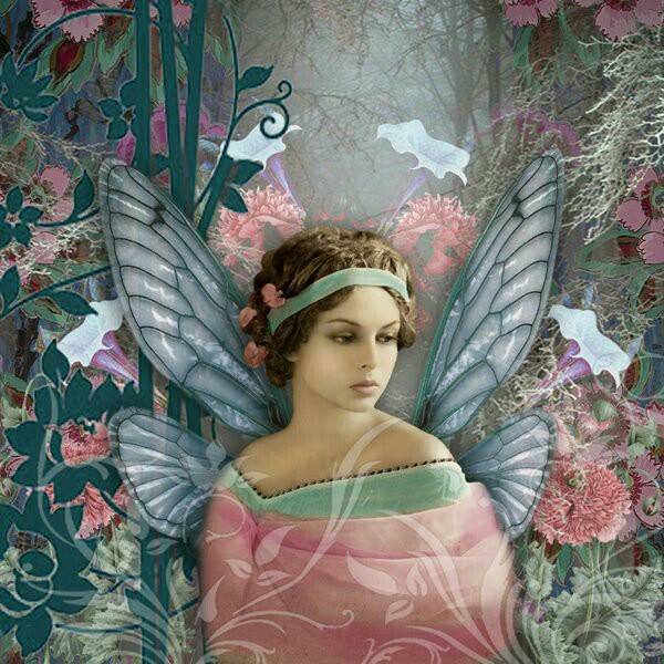 72303274_2744943078872018_1745032576571015168_n