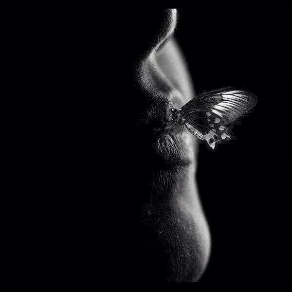 72736354_2744942782205381_7159875757068517376_n