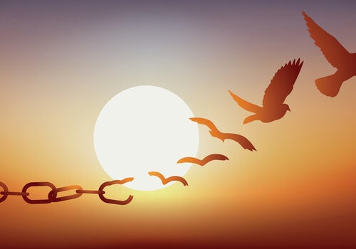 cadenas-transformandose-pajaros