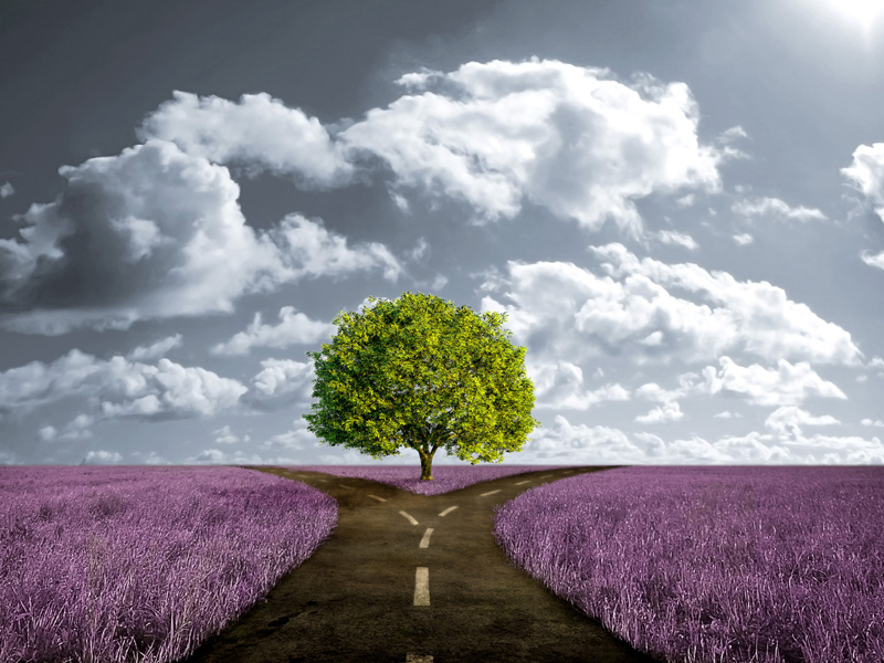 no-permitas-que-los-demás-decidan-por-ti