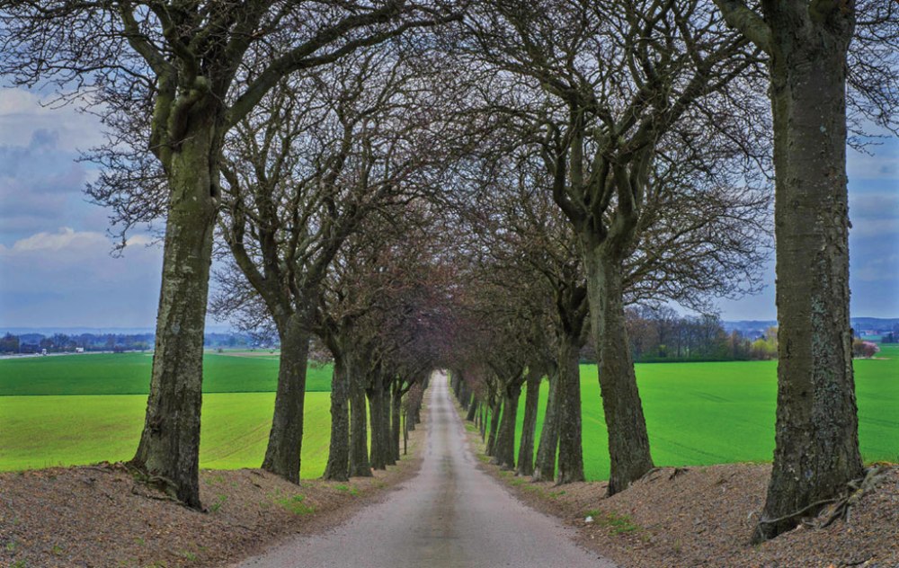 115-caminos-rurales1