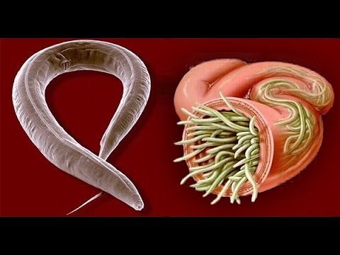 2183b2a1a6defa96e2626d4f04319887