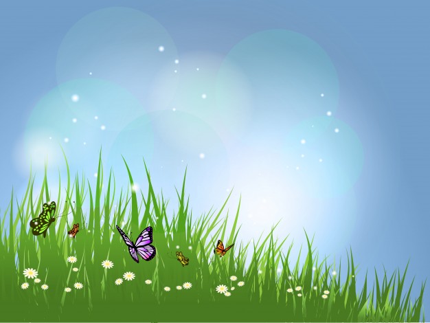 paisaje-mariposas_1048-5220