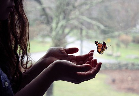 Soltando mariposa
