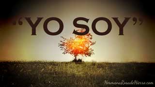 YO-SOY