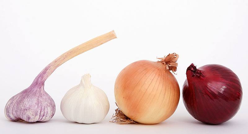 ajo-cebolla-salud