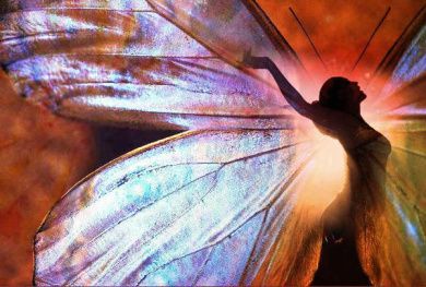 c7d0dcc3f9ff300a323e4b06e609b924