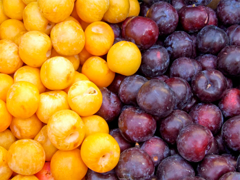 ciruelas-plums