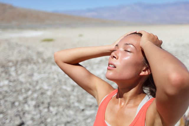 Deshidratado-640x427