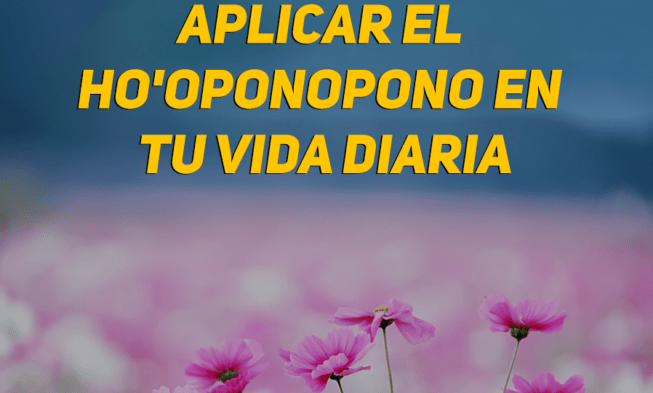 yogacuadrado-118-653x393