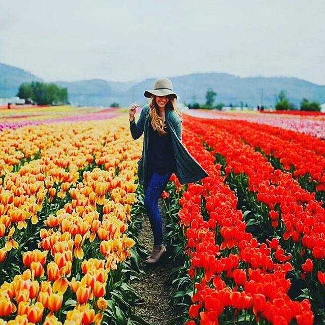 25837879244_3d0805fbf5_z