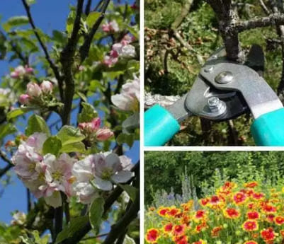 52651132_274637596766839_290257987262480384_n