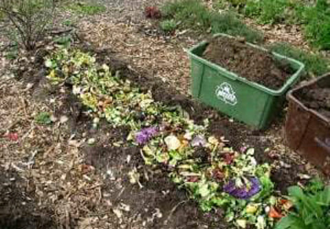 53264662_276400243257241_5307823199755436032_n