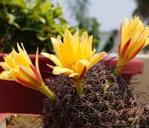 53701877_284252475805351_5625100826277052416_n