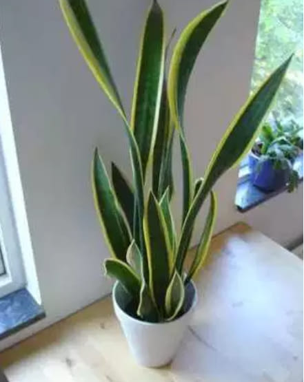 53812022_284253359138596_6603908162045083648_n