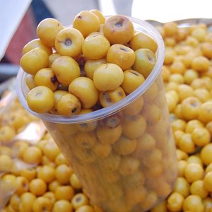 9495d275-b367-4976-b088-8a3a3b0fa8ef_x365