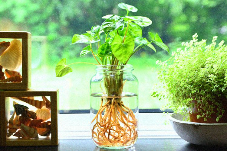 ab18ccb5b34da8f9b3d40d8a099ecd30