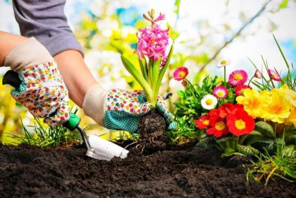 beneficios-de-la-jardineria-1